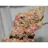CBD Auto Pink Afghan Kush 30:1