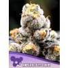 Anesia Scout Cookies 600x800 1