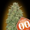 00 Skunk 3 u fem 00 Seeds