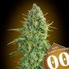 Auto Do Si Dos Cookies 3 u fem 00 Seeds