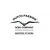 dutch passion 512x270