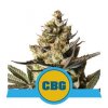 royal queen seeds royal cbg automatic