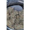 AUTO MIMOSA