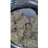 4665973 grow journal by askeonelsm
