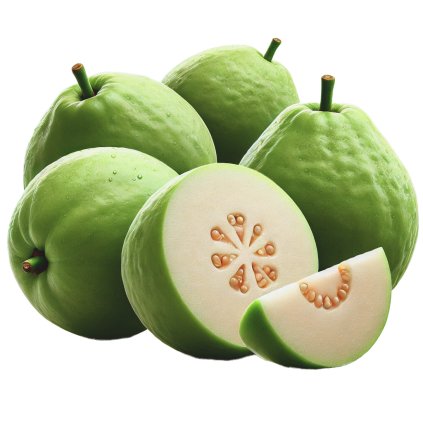 GUAVA 23