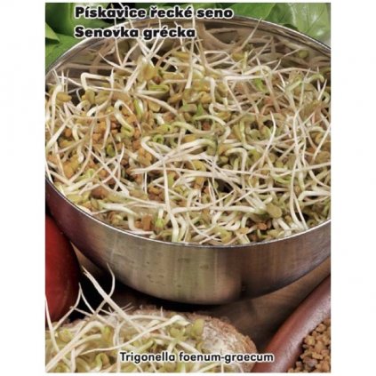 PÍSKAVICE ŘECKÉ SENO (TRIGONELLA FOENUM GRAECUM) - SEMENA 1,5 G