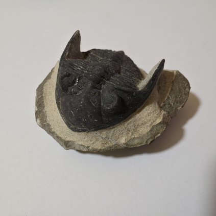 WhatsApp Image 2026 01 04 at 15.29.36 (1)