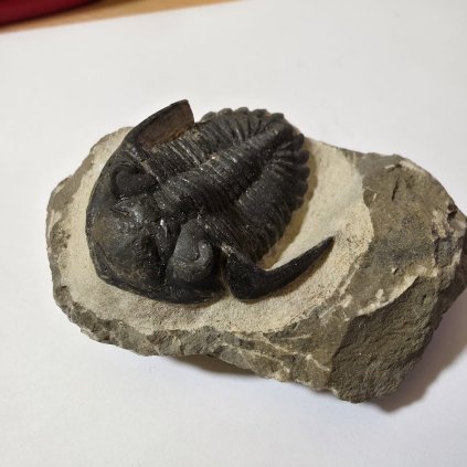 WhatsApp Image 2026 01 04 at 15.32.22 (1)