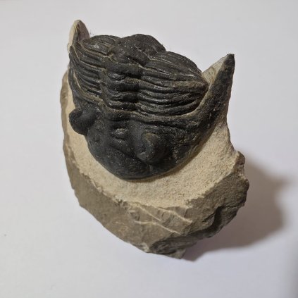 WhatsApp Image 2026 01 04 at 18.19.02