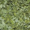 Moringa - list 100 g