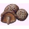 Sušené houby Shiitake (houževnatec jedlý) 50g
