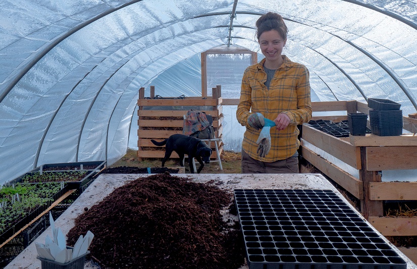 Jak si vypěstovat zdravé a silné sazenice ?