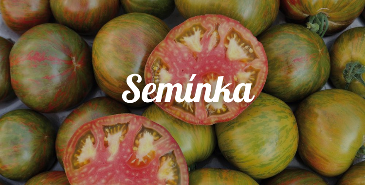 Semínka