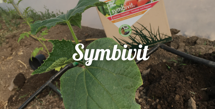 Symbivit