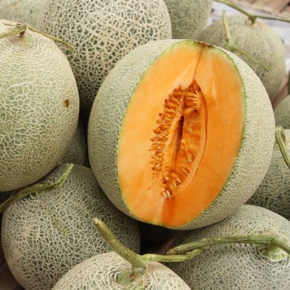 Hales Best Jumbo Melon and Organic Hales Best Jumbo Melon 42456