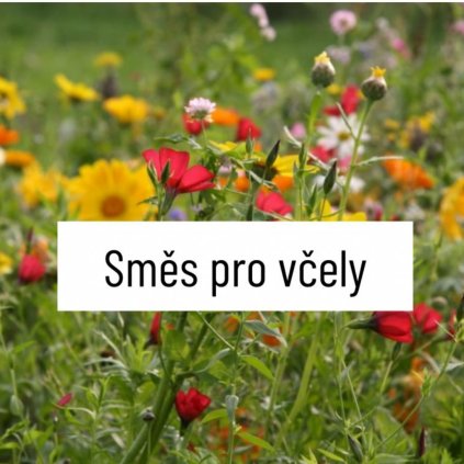 Luční směs pro včely
