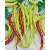 Paprika roční Beros
