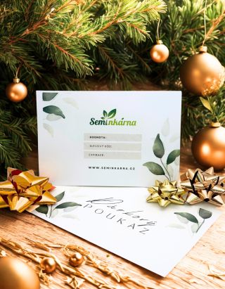 Pokud stejně jako my nestíháte nakoupit veškeré Vánoční dárky, tak pro Vás máme řešení ve formě elektronického dárkového...