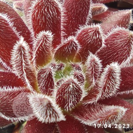 Untitled5 20250902132023