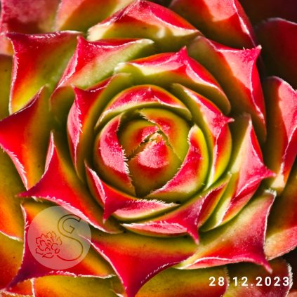 Untitled5 20250911150714