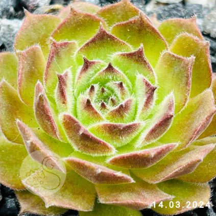 Untitled5 20250912172212