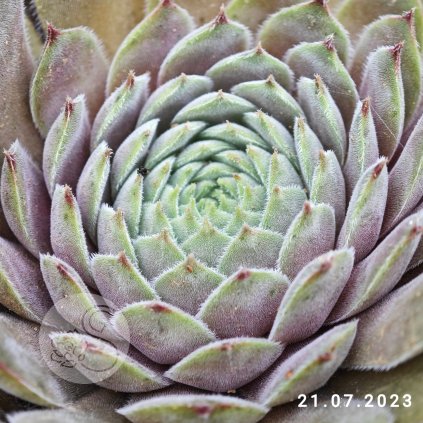 Untitled5 20250915143457