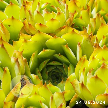 Untitled5 20250922000644