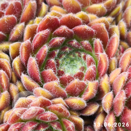 Untitled6 20260620191122
