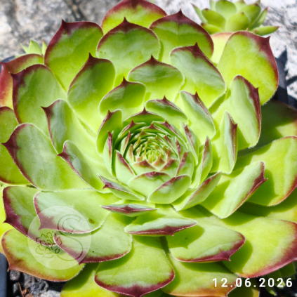 Untitled6 20260627224502