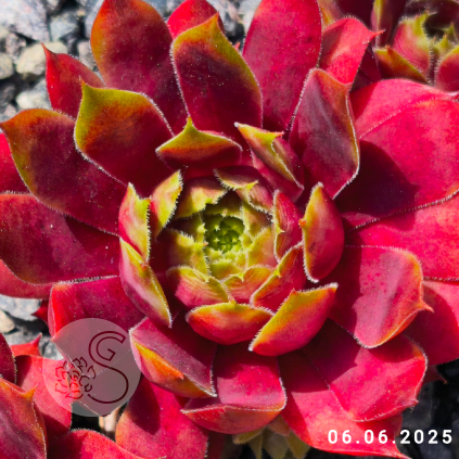 Untitled6 20260415090452