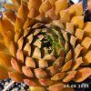 Untitled5 20250918164300