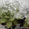 Untitled6 20260620183112