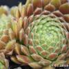Untitled6 20260620190612