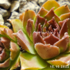 Untitled6 20260627114148