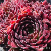 Untitled6 20260716232701