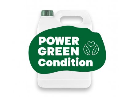 Power Green Condition