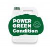 Power Green Condition