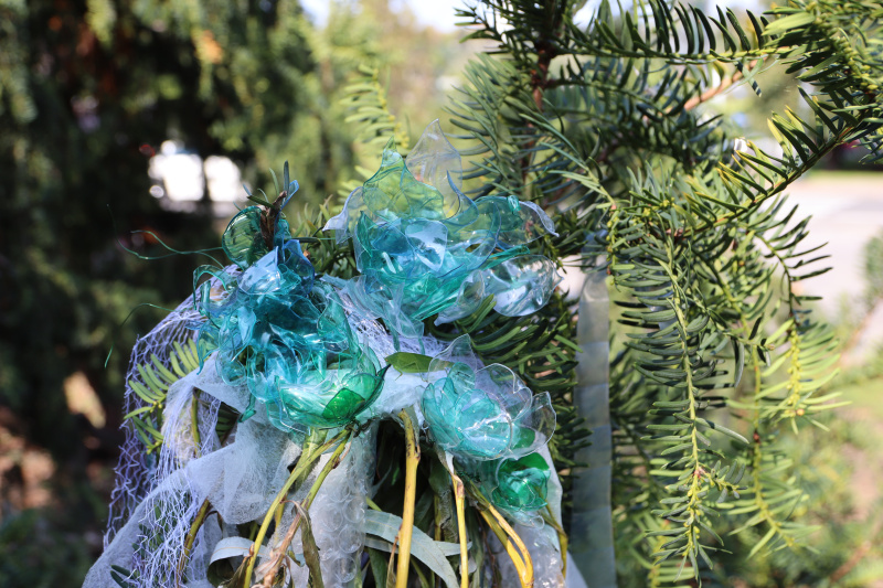 Kam plyneš, řeko?