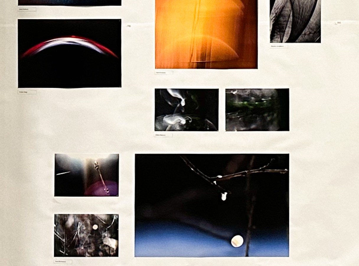 V ozvěnách snění