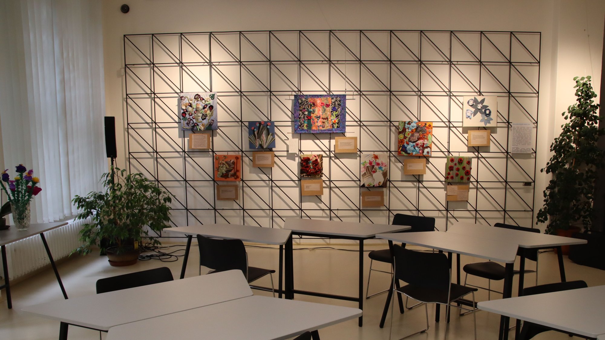 Neuvěřitelné rostliny