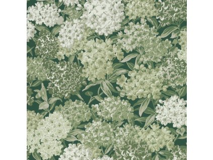 LGITG Rhododendron Walk Puck 1k1