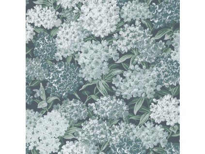 LGITG Rhododendron Walk Hicks Blue 1k1