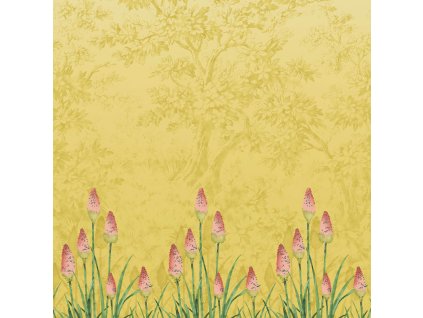 LGNTP3 Upper Brook St Soleil