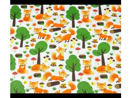 21703 superlarge default