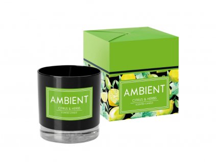 Sviečka v skle AMBIENT 170g (citrus - byliny )