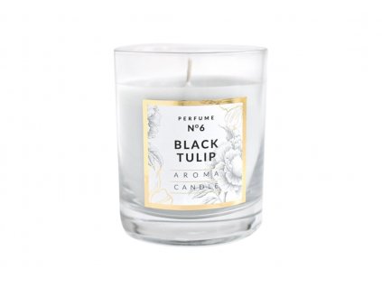 CLASSIC GLASS BLACK TULIP musk 250g