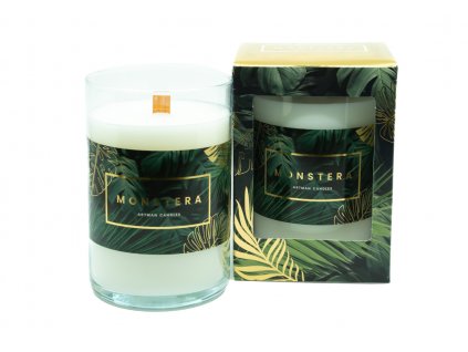 MONSTRERA big glass green 800g