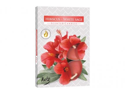 Sviečka čajová 6ks Hibiscus - White sage