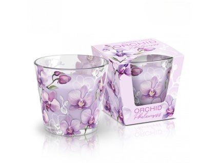 Orchid Phalaenopsis 115g sviečka v skle BARTEK