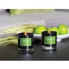 1081 1 sviecka v skle ambient 170g citrus byliny